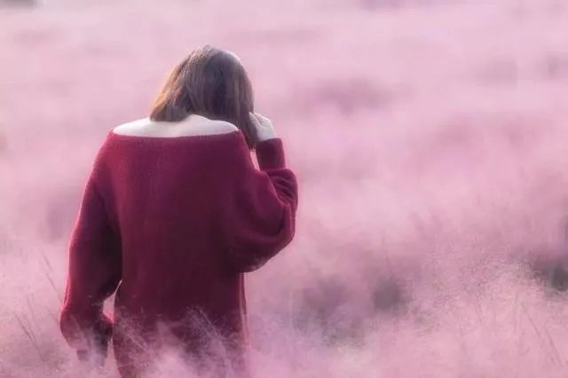 好听的校园风歌曲?