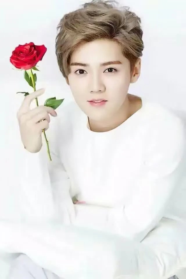 鹿晗的演技配的上天价片酬吗?