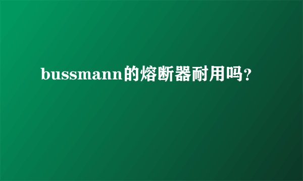 bussmann的熔断器耐用吗？