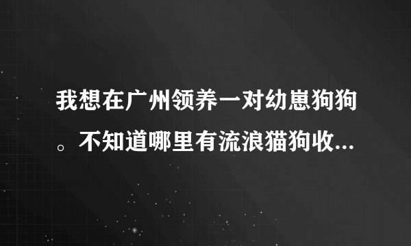 我想在广州领养一对幼崽狗狗。不知道哪里有流浪猫狗收养所。是要带回潮州家乡的。保证不贩卖。可检测身份
