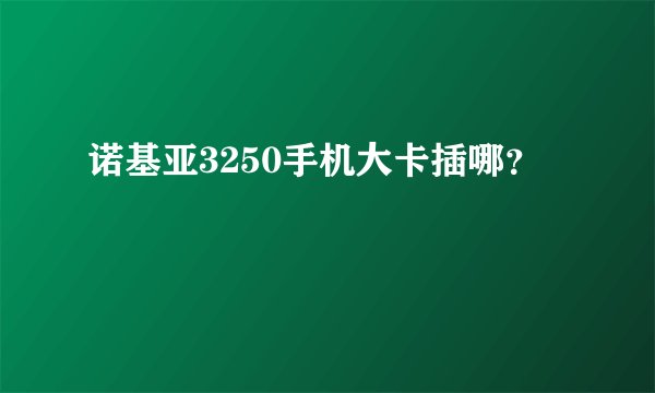 诺基亚3250手机大卡插哪？