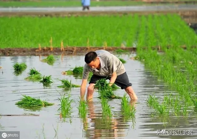 雨水落雨三大碗 大河小河都要满 说的是哪个季节
