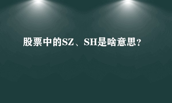 股票中的SZ、SH是啥意思？