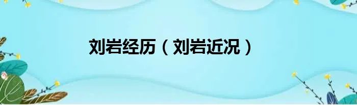 刘岩经历（刘岩近况）