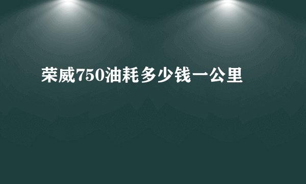 荣威750油耗多少钱一公里