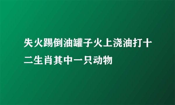 失火踢倒油罐子火上浇油打十二生肖其中一只动物