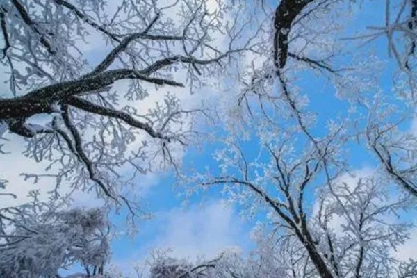 河南十月飘起鹅毛大雪，为何东北还没下雪河南先下了？