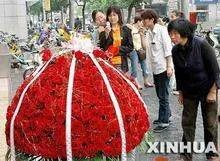 999朵玫瑰花图片