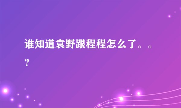 谁知道袁野跟程程怎么了。。？