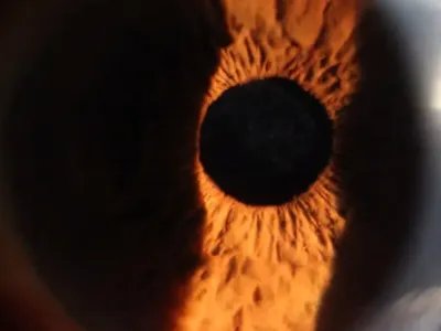 vibin masked wolf歌词大意