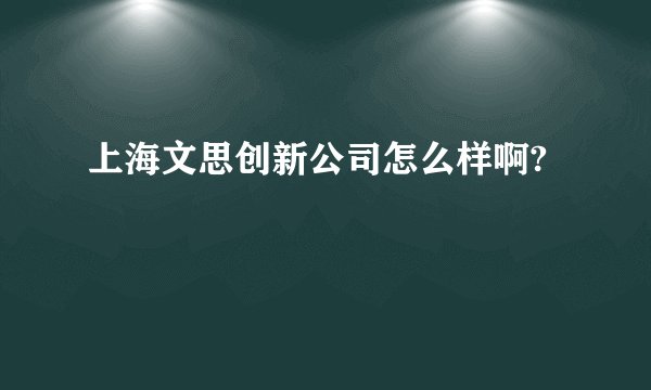 上海文思创新公司怎么样啊?