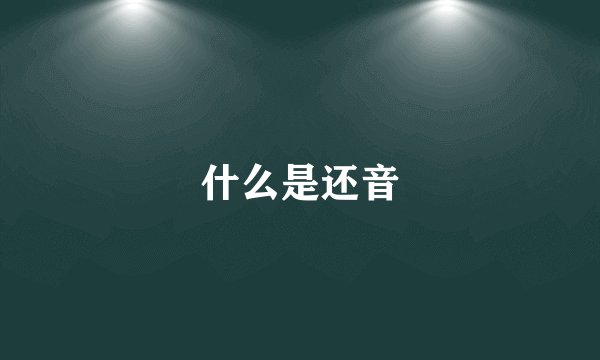 什么是还音