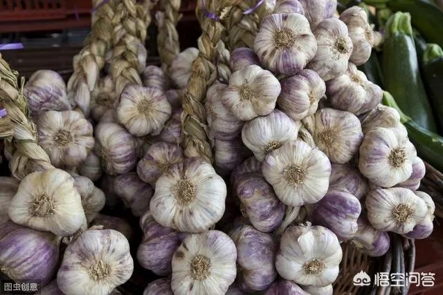 大蒜陆续上市，今年下半年我国大蒜价格会一直突飞猛进吗？