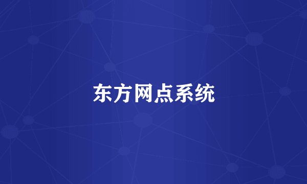 东方网点系统