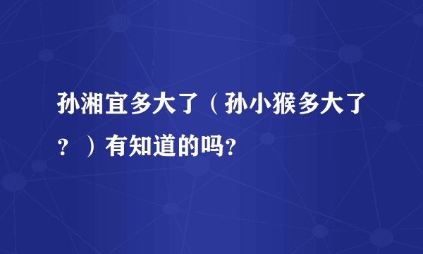孙湘宜多大了（孙小猴多大了？）有知道的吗？