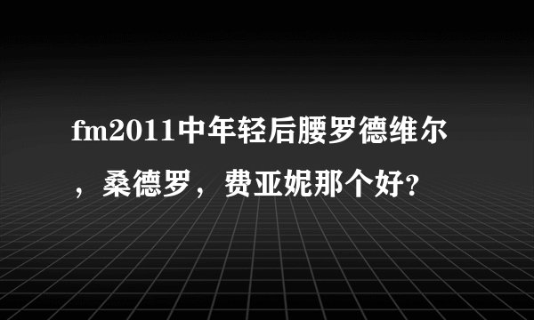 fm2011中年轻后腰罗德维尔，桑德罗，费亚妮那个好？