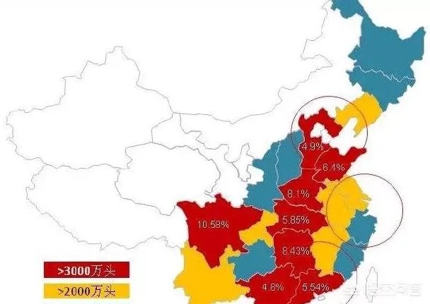 现在养猪行情如何?