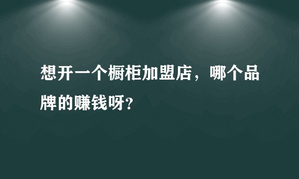 想开一个橱柜加盟店，哪个品牌的赚钱呀？