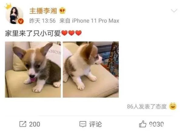 王岳伦发文道歉,李湘却回应三颗心,强势的她为什么会如此低声下气?