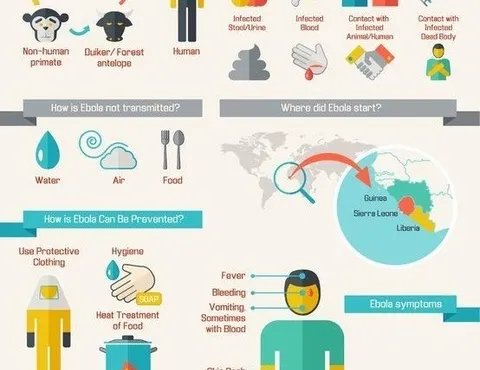 金象网发表声明：“售假”报道严重失实