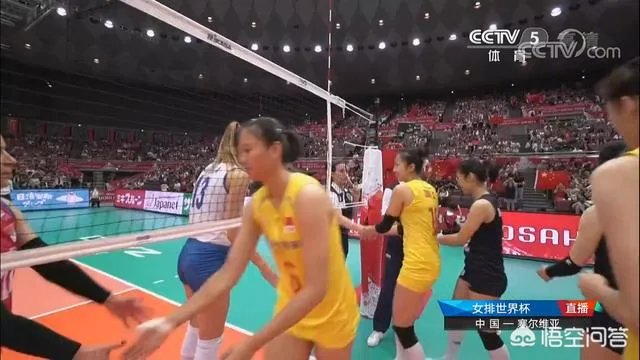 十全十美！中国女排3比0战胜塞尔维亚，豪取十连胜，提前拿到世界杯冠军，怎么看？