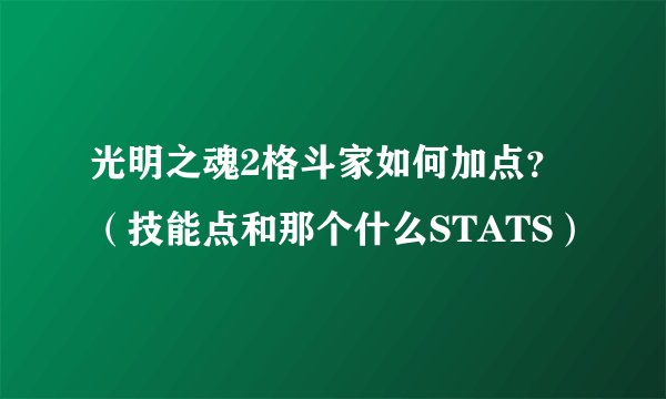 光明之魂2格斗家如何加点？（技能点和那个什么STATS）