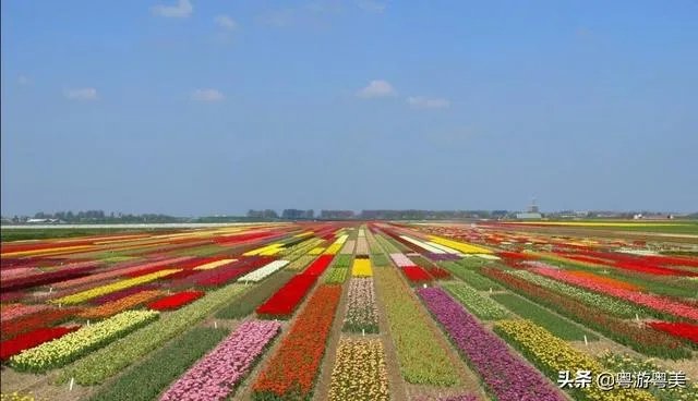 广州从化适合一个人去的地方