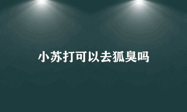 小苏打可以去狐臭吗
