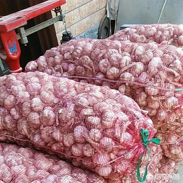 大蒜陆续上市，今年下半年我国大蒜价格会一直突飞猛进吗？