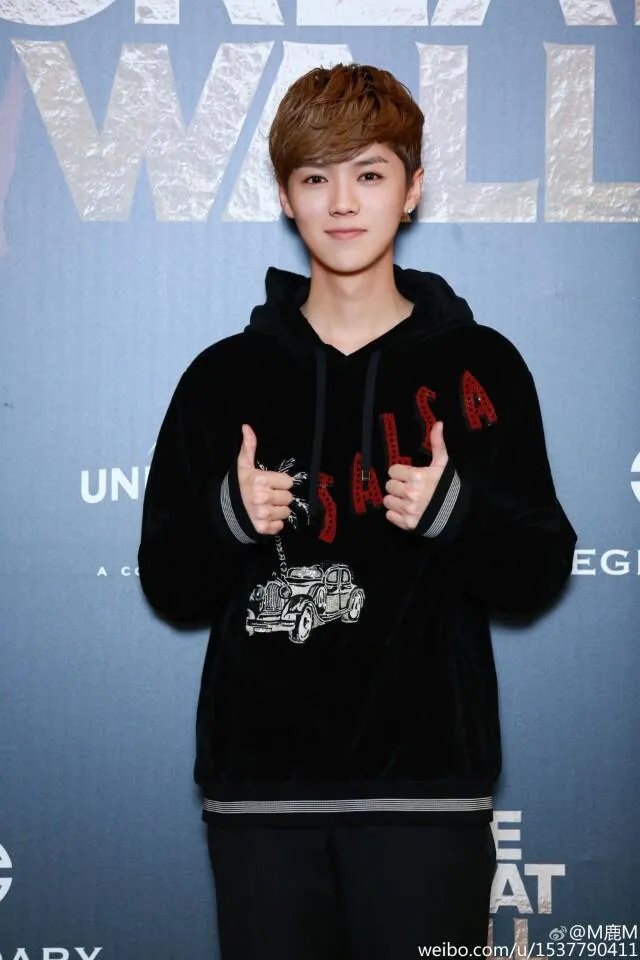 鹿晗的演技配的上天价片酬吗?