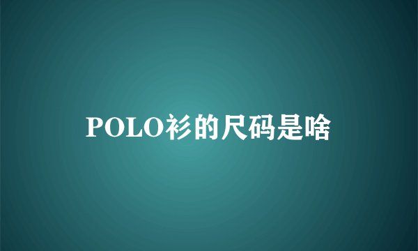 POLO衫的尺码是啥