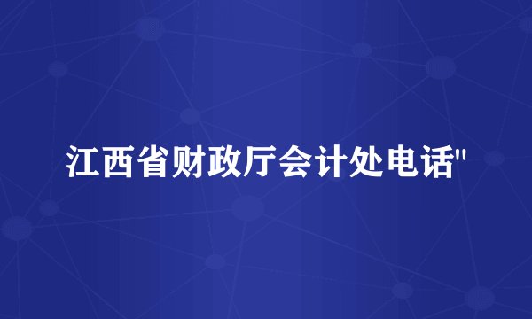 江西省财政厅会计处电话