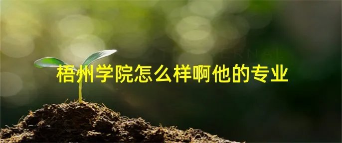 梧州学院怎么样啊他的专业