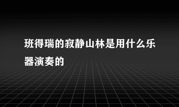 班得瑞的寂静山林是用什么乐器演奏的