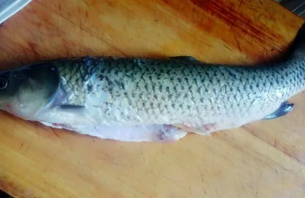 草鱼炖豆腐怎么做好吃