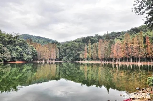 广州从化适合一个人去的地方