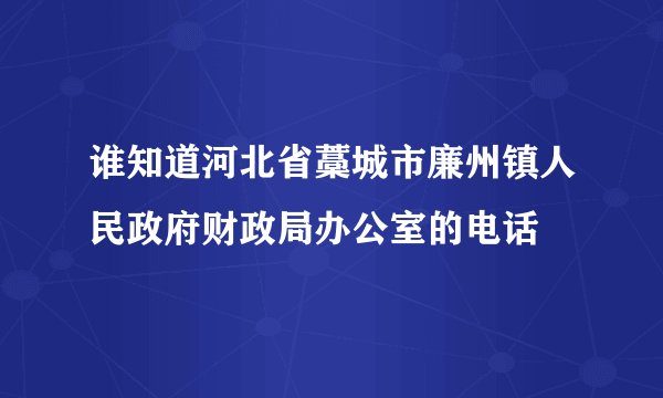 谁知道河北省藁城市廉州镇人民政府财政局办公室的电话