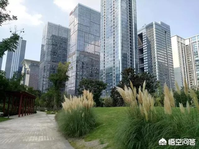 城市总体规划描绘出了一个怎样的成都未来?