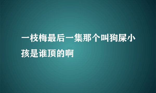 一枝梅最后一集那个叫狗屎小孩是谁顶的啊