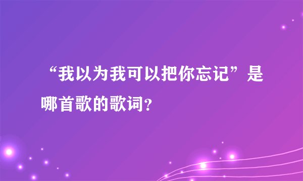 “我以为我可以把你忘记”是哪首歌的歌词？