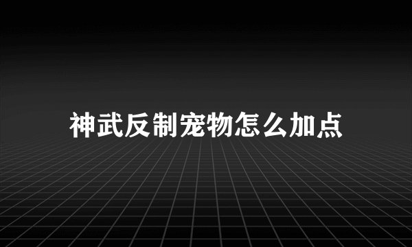 神武反制宠物怎么加点