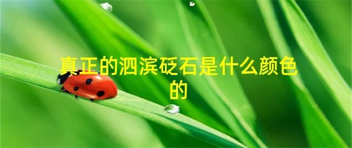 真正的泗滨砭石是什么颜色的