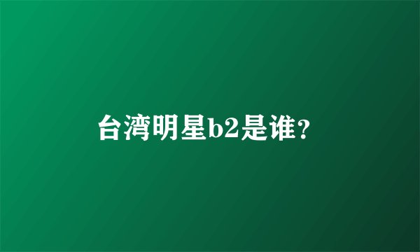 台湾明星b2是谁？