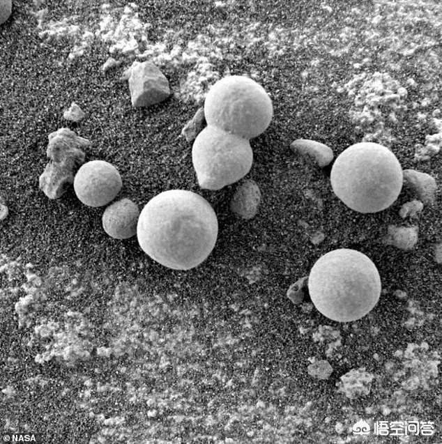 如果在火星发现了生物，人类会有什么反应？