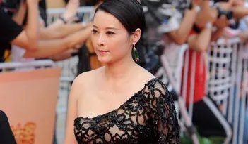 华表奖红毯袁立透明装