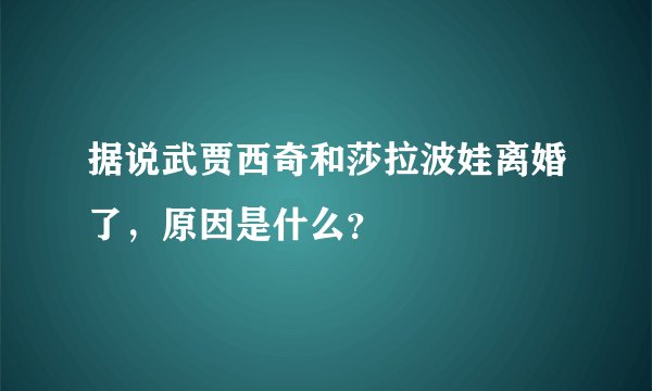 据说武贾西奇和莎拉波娃离婚了，原因是什么？