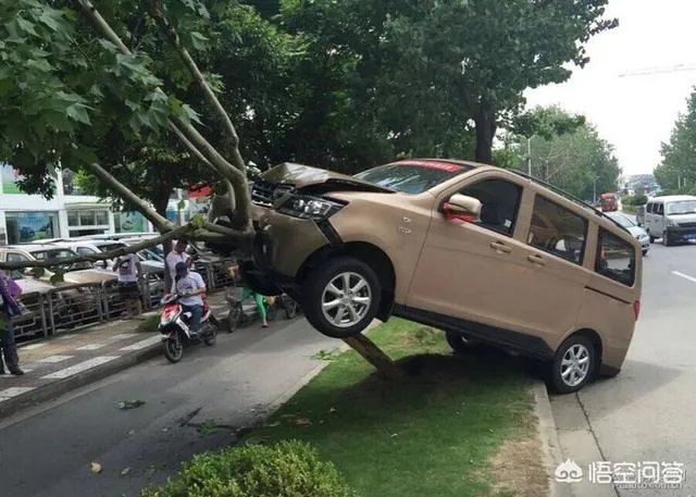 女司机开车“爬”护桥栏杆，下车后先玩自拍，你怎么看？