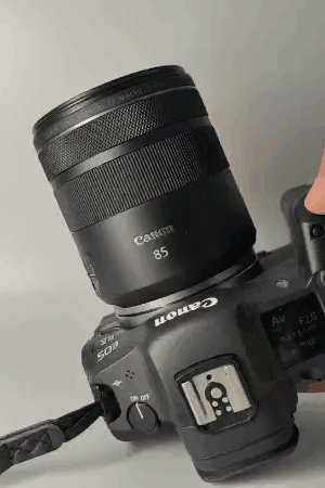 佳能RF 85mm F2微距镜头试拍简评