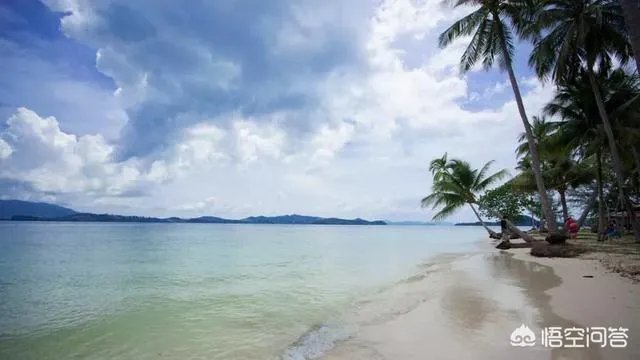 赴泰中国游客是不是“低价团”，泰国人民真的会关注吗？你怎么看？