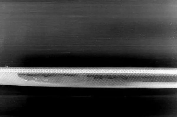 蟒蛇吞下巨鳄后，鳄鱼被消化的过程是什么样？